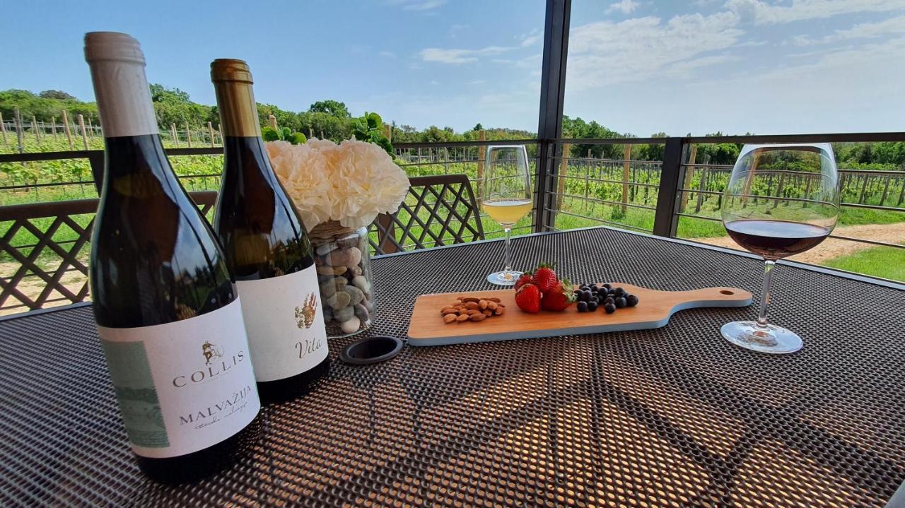 Collis Winery - Family & Friends - Mobilhome ロヴィニ エクステリア 写真