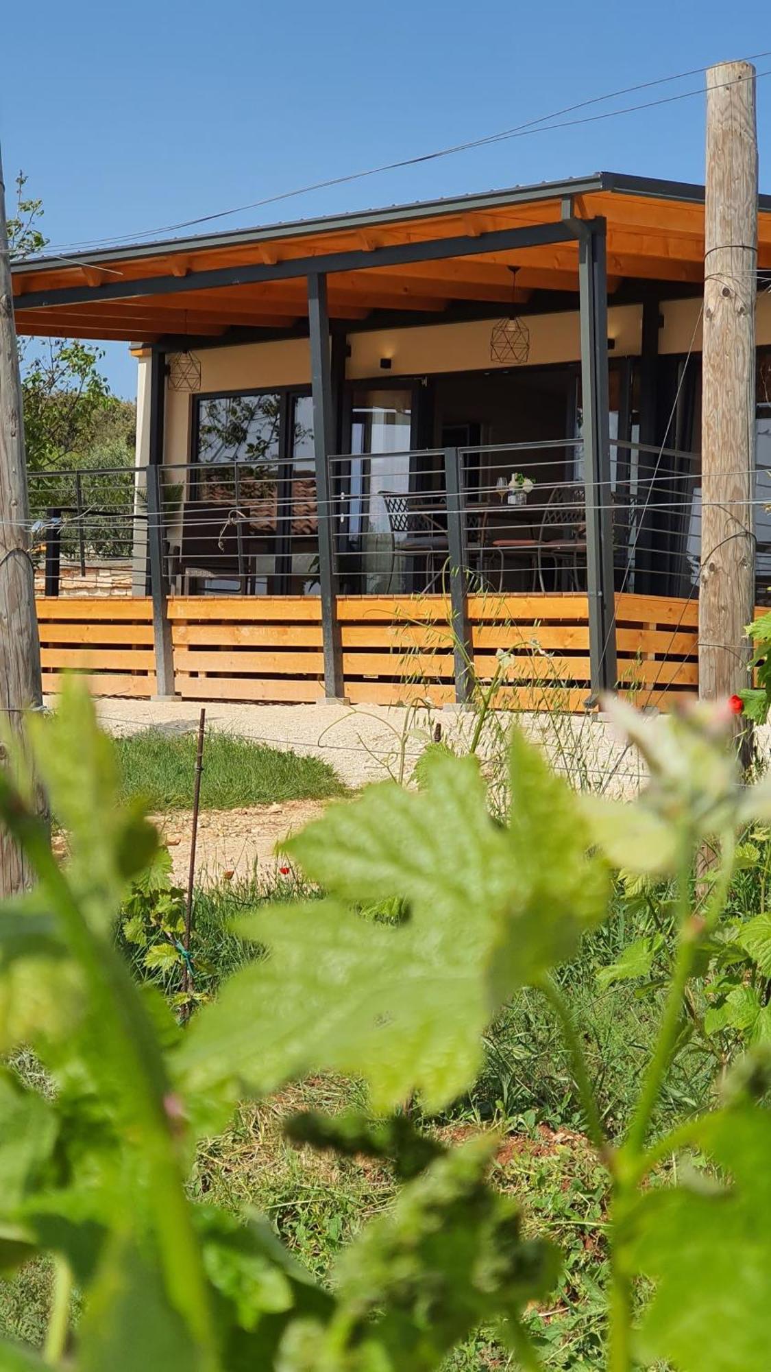 Collis Winery - Family & Friends - Mobilhome ロヴィニ エクステリア 写真